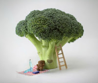 Drying vegetables in case of emergency