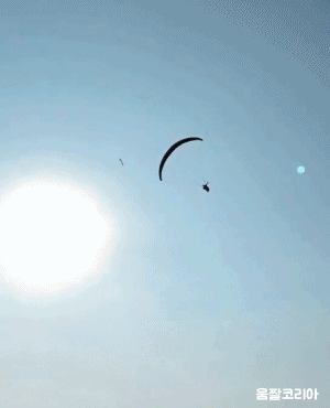 umjjal_kr_026.gif
