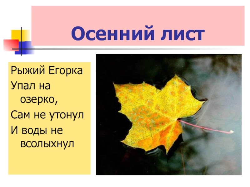 Слова как листья на дереве. Загадки про листья. Осенние загадки. Загадки про осенние листья. Загадки на тему листья.