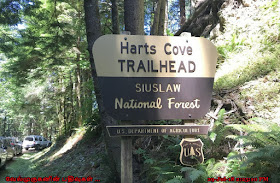 Hart's Cove Hike Oregon Coast