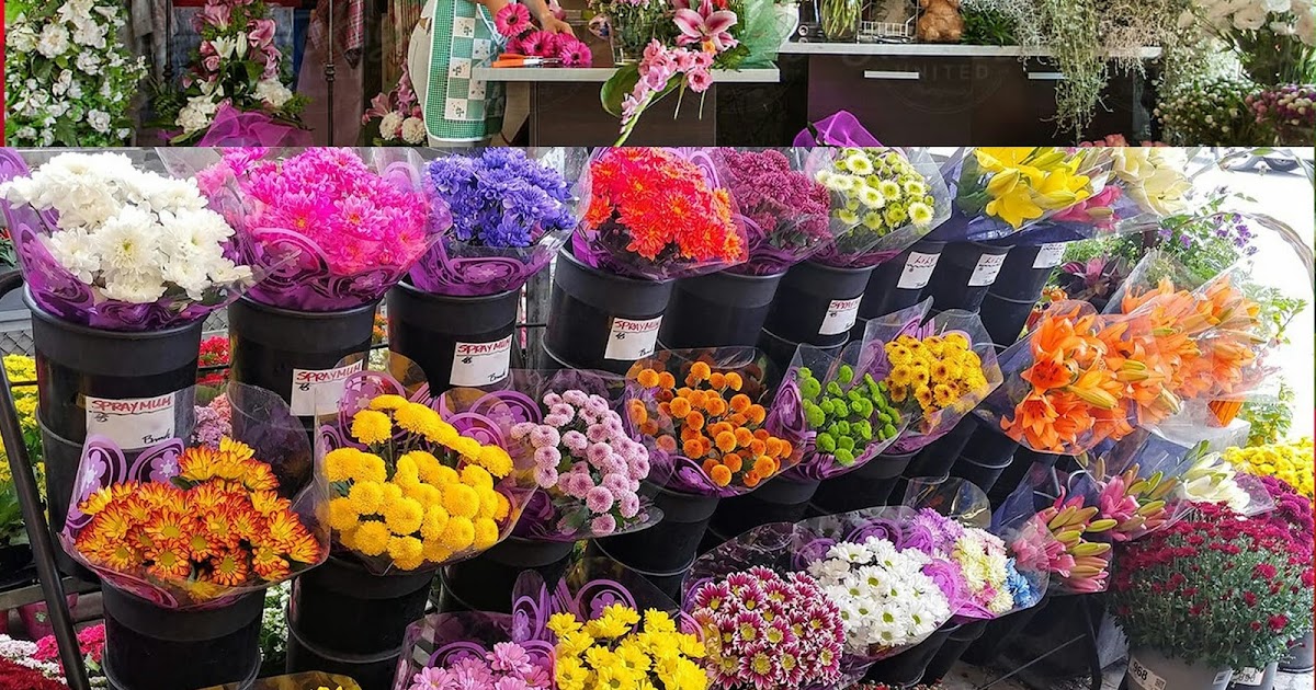 محل بيع الورد في عجمان مع توصيل مجاني بيع على الأنترنيت في الخليج