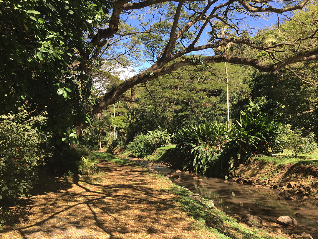 Trailblazer Hawaii These Days The Garden Of Eden Is On Kauai
