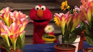 Elmo, Sesame Street Episode 4403 The Flower Show season 44