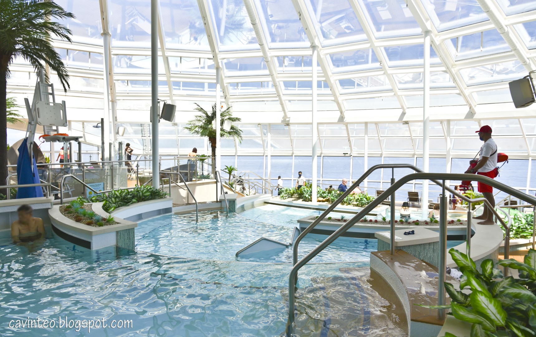 Entree Kibbles Seaplex Dog House Hot Dogs at No Charge on Royal Caribbean's Quantum of the