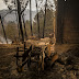 INCÊNDIOS - Município de Penacova alerta Agricultores para Medidas de Apoio