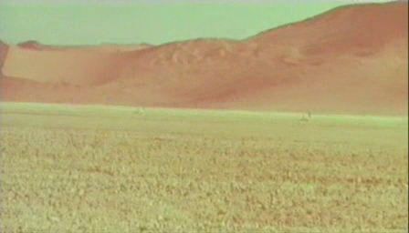 El Periódico Más Breve Dirkie 1969 Y Walkabout 1971