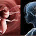 Avoid Consuming This Food This Will Results Of Having Worms In Your Brain