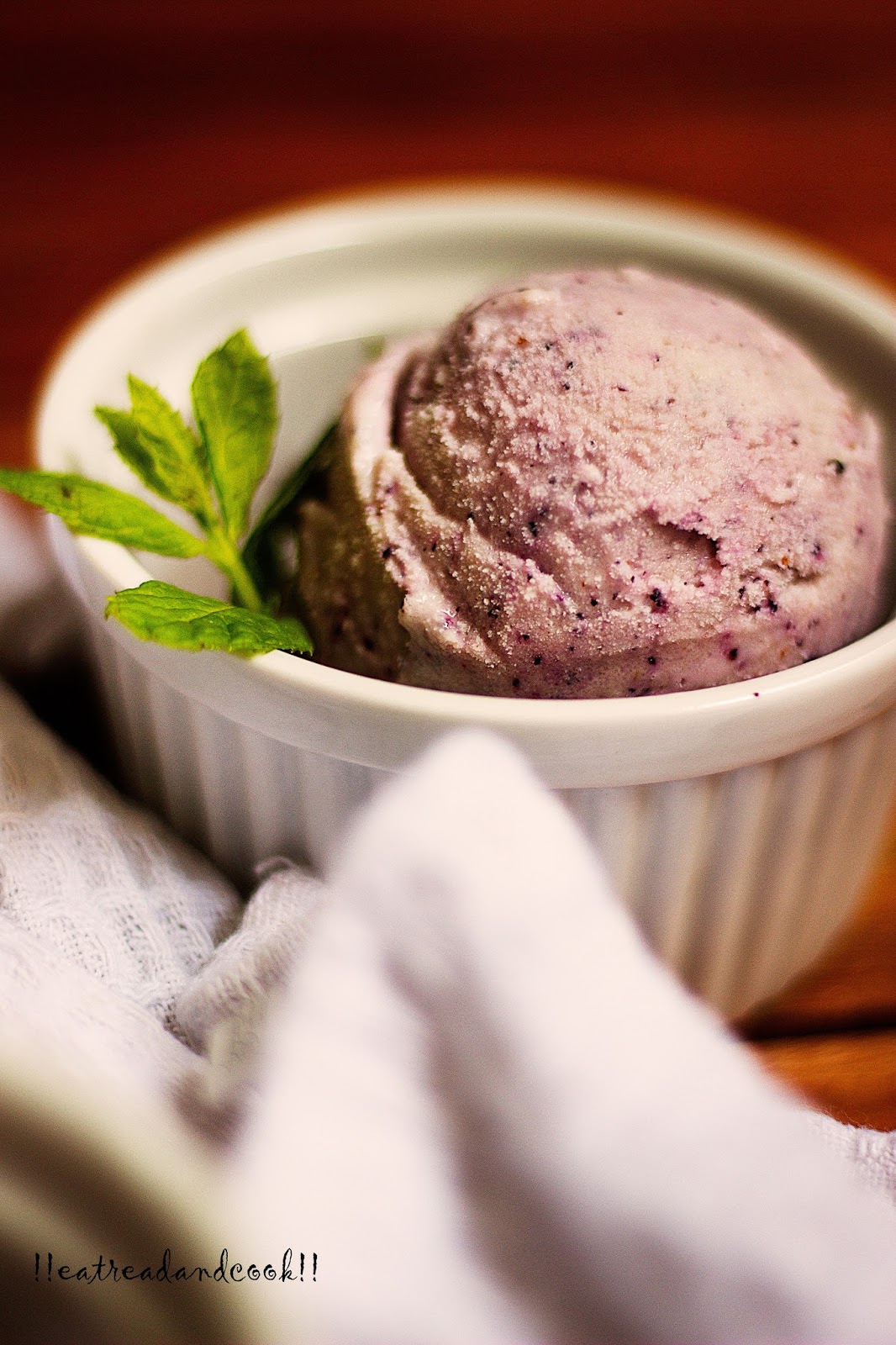 Blueberry Frozen Yogurt