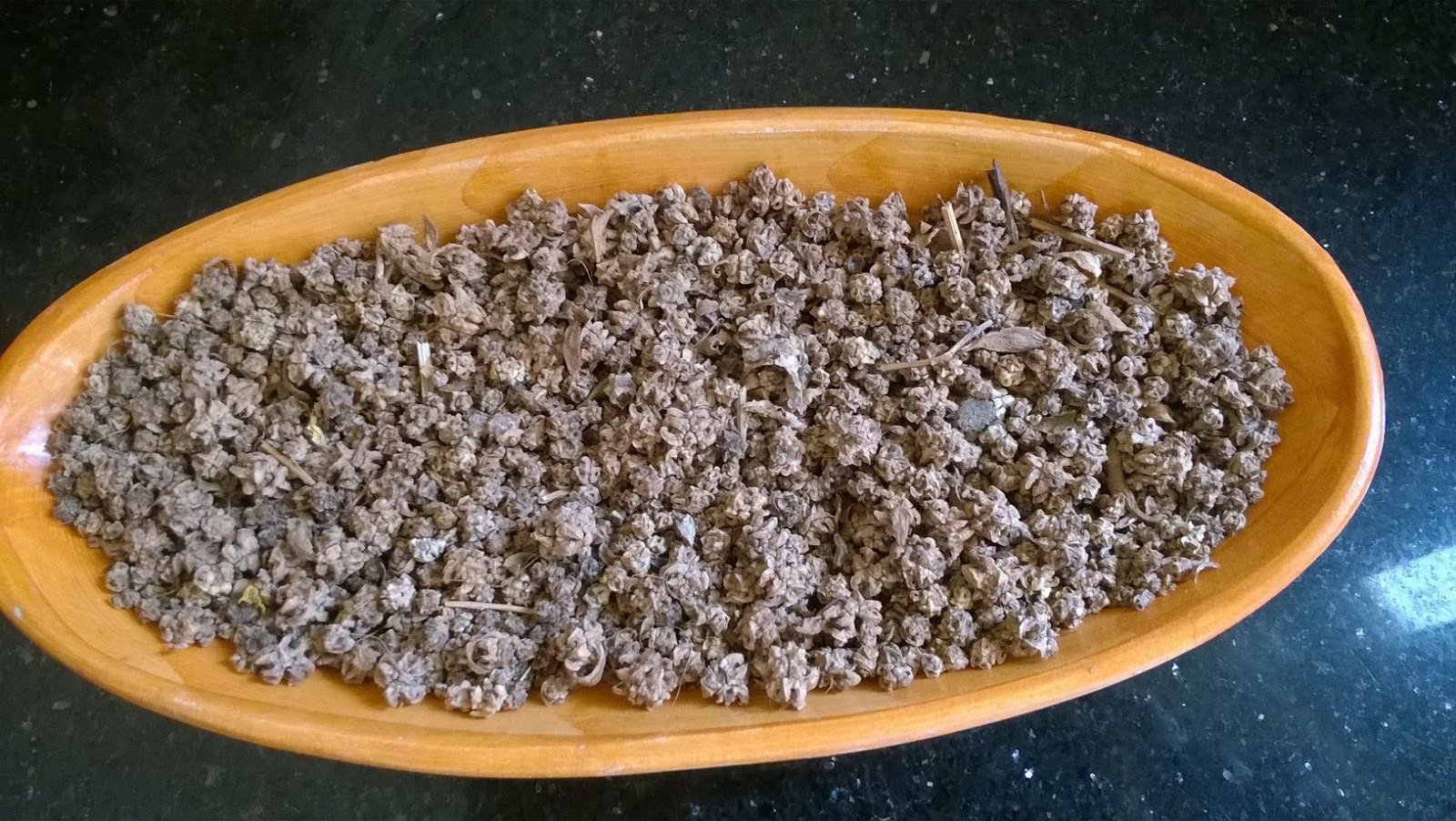 How To Grow Organic Chard