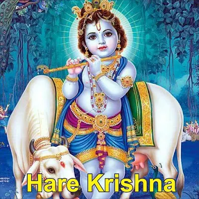 Hare Krishna ao vivo