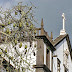 the church and the tree