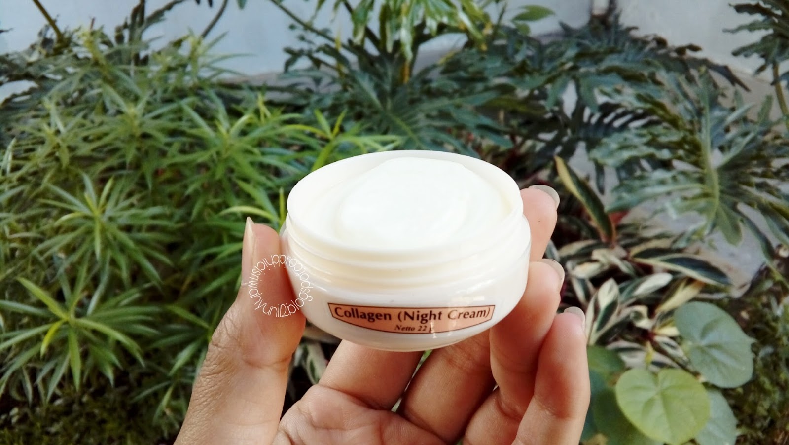 Review Viva Collagen Night Cream Chici Sriwahyuni's Blog