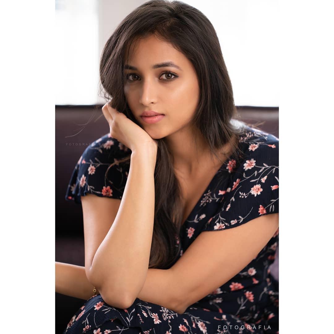 Srinidhi Shetty Indian Actress Wiki Age Height Family Career Awards And Many More Srinidhi shetty is an indian model. srinidhi shetty indian actress wiki