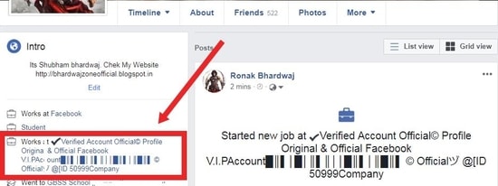 Vip Account Stylish text Facebook