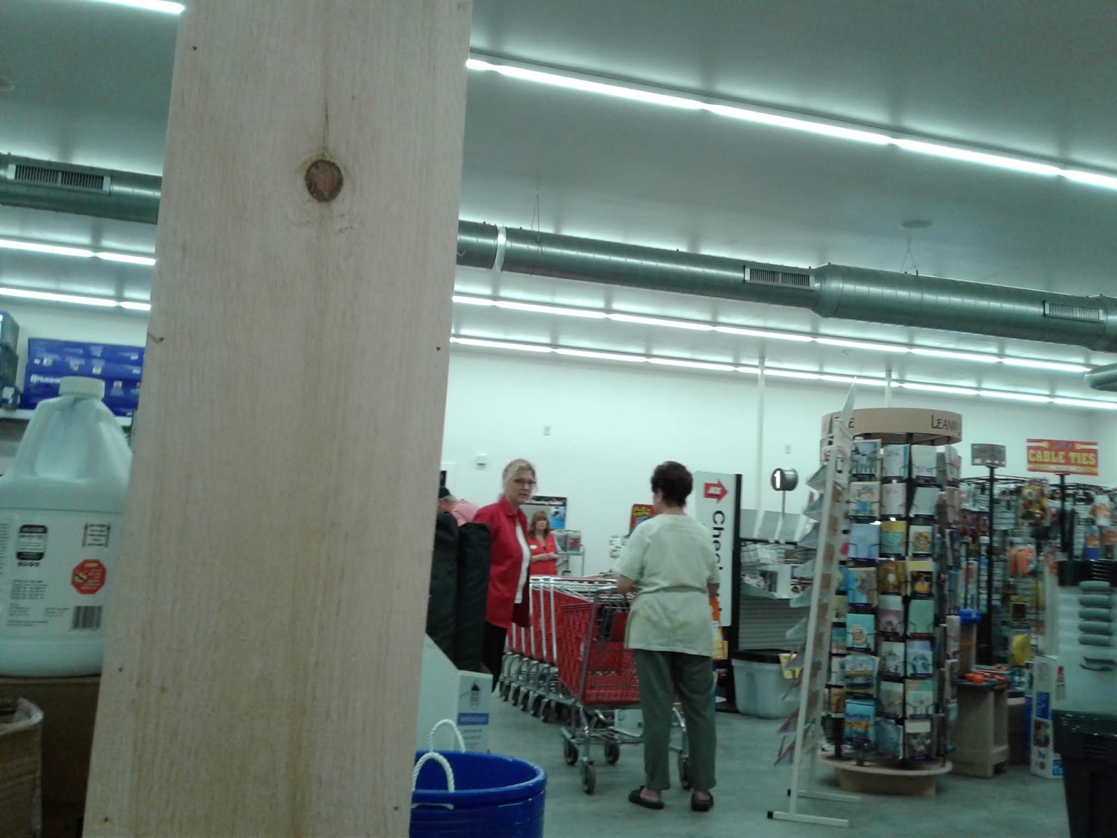 Retail Regents Blog FLASHBACK Dutchtown Ace Hardware of Palatine