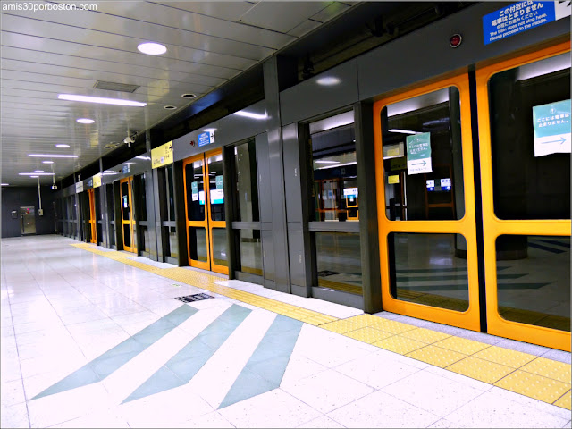 Metro de Tokio, Japón