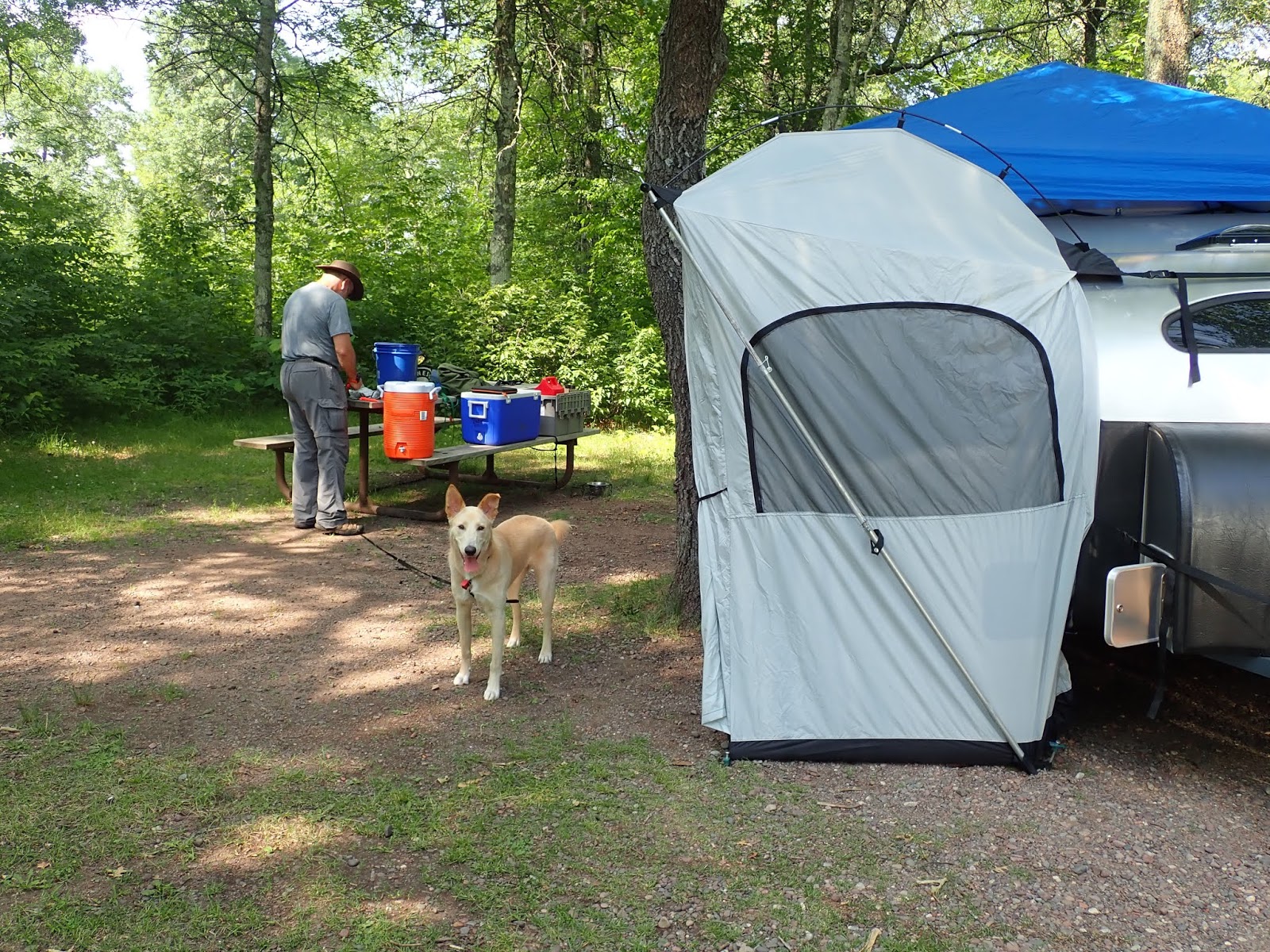Jim's Blog June july updates grey wolf and camping with gus