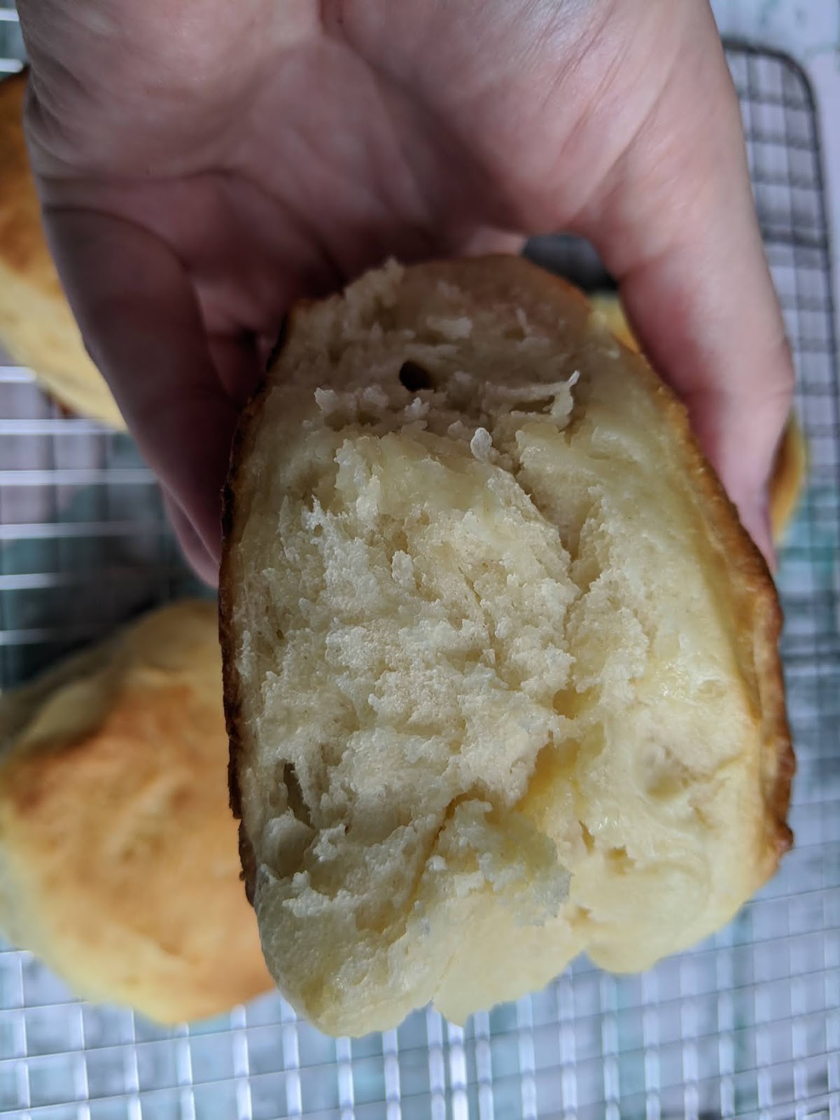 Yeast Raised Angel Biscuits for BreadBakers