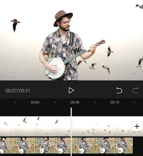 how to remove background from video how to remove background from video