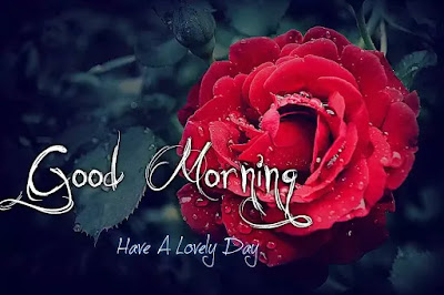 Good Morning Images Good Morning Images