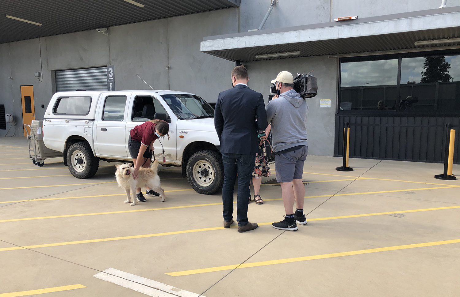 How Long Are Dogs In Quarantine In Australia