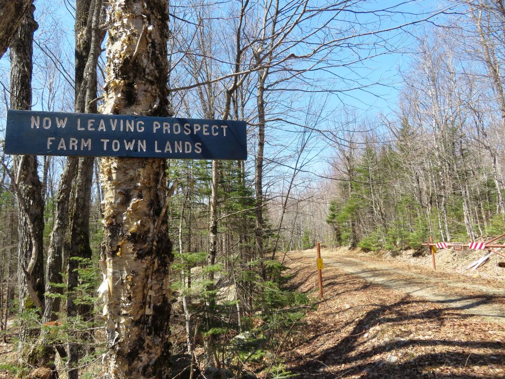 Outdoor Diversion Hall's Ledge Trail and Hutmen's Trail Loop Hike