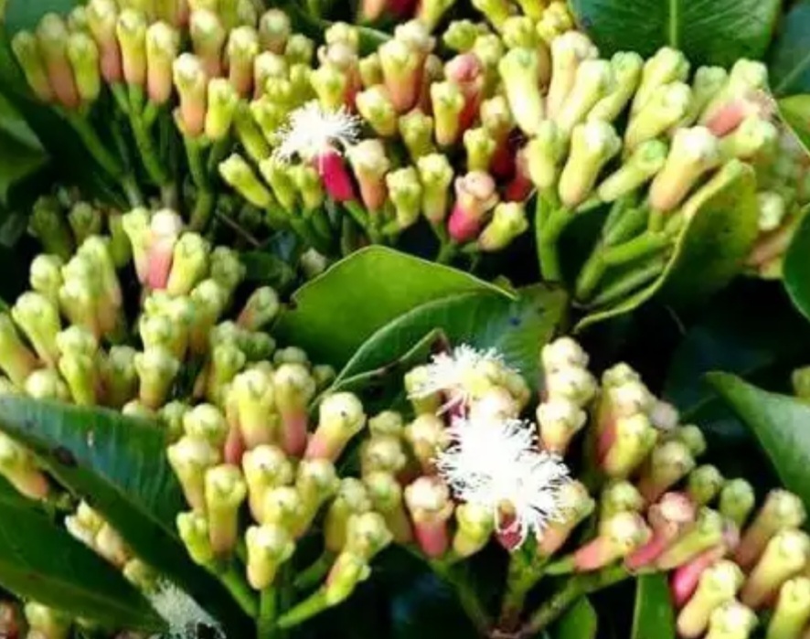 38+ Kunci Jawaban Tema 7 Kelas 5 Halaman 6 2021 2022 2023 PNG