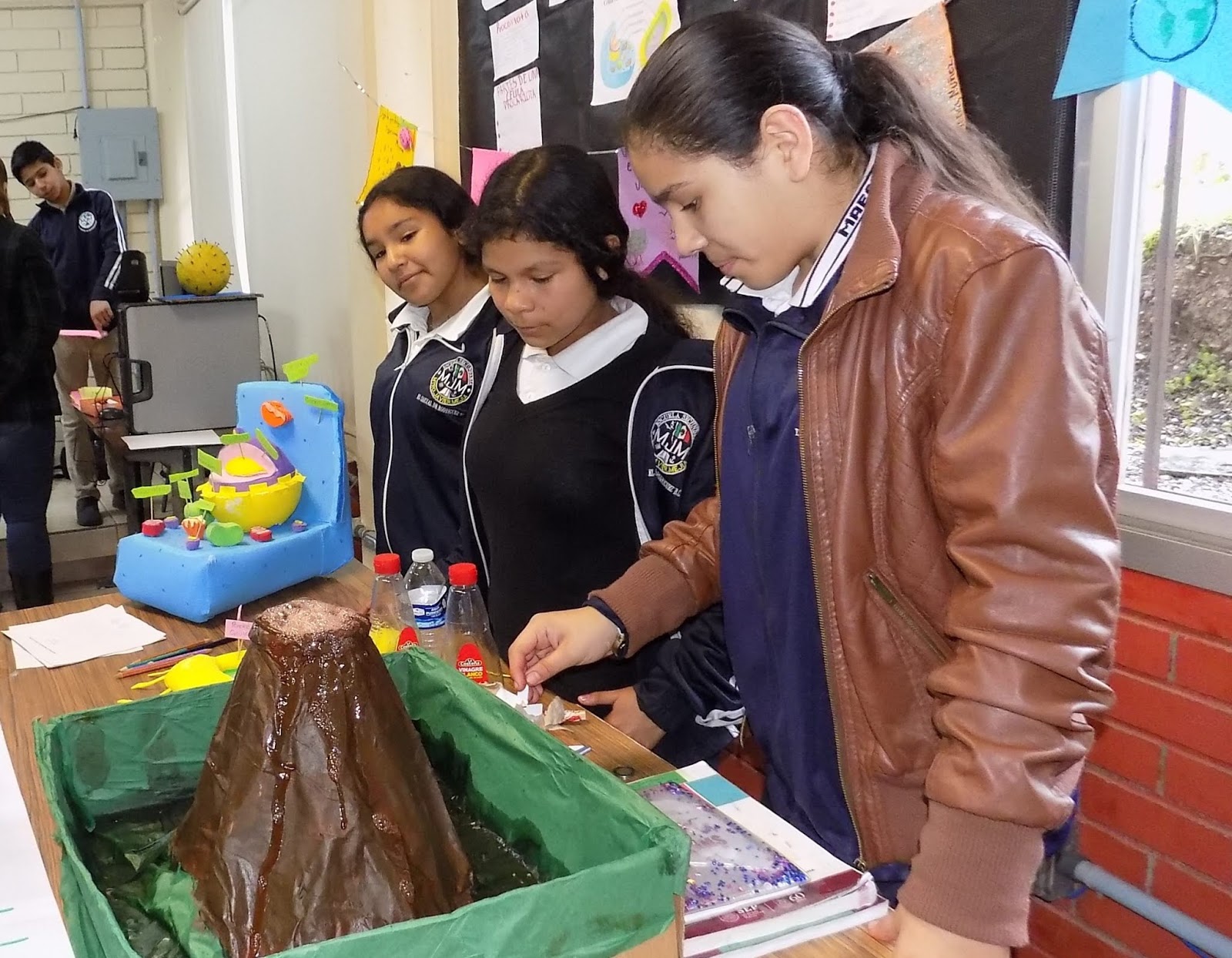 Ejemplos De Proyectos De Ciencias Para Secundaria