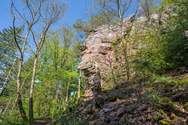 Premiumwanderweg Murgleiter | Etappe 1 von Gaggenau nach Gernsbach | Wandern nördlicher Schwarzwald 13