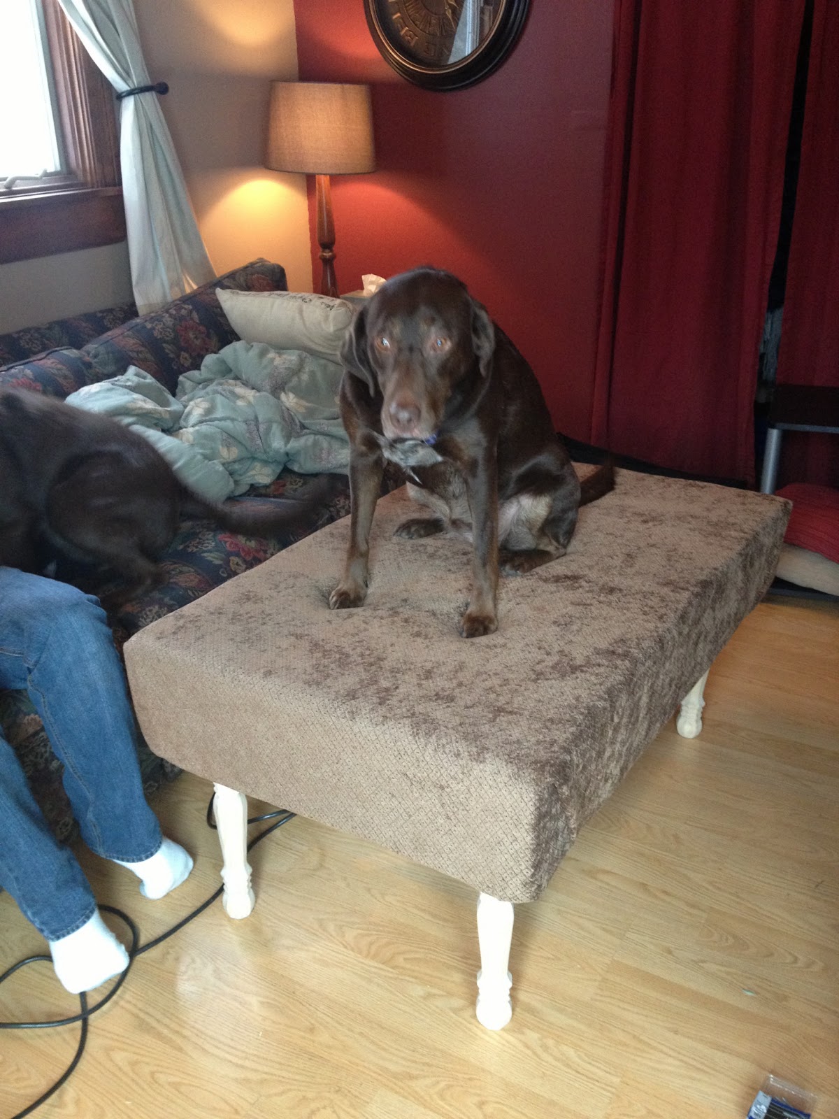 Nailed It or Failed It a place to put your feet up