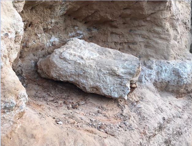 Fóssil de dinossauro é encontrado em obra rodoviária em Marília, no interior de SP