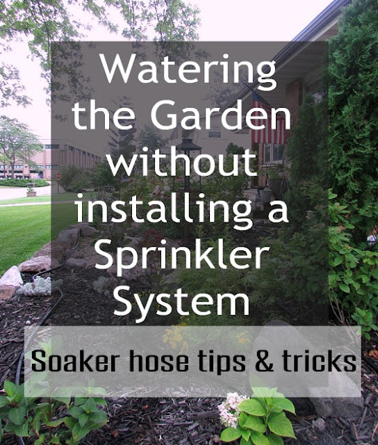 Watering Garden Rustic & Refined