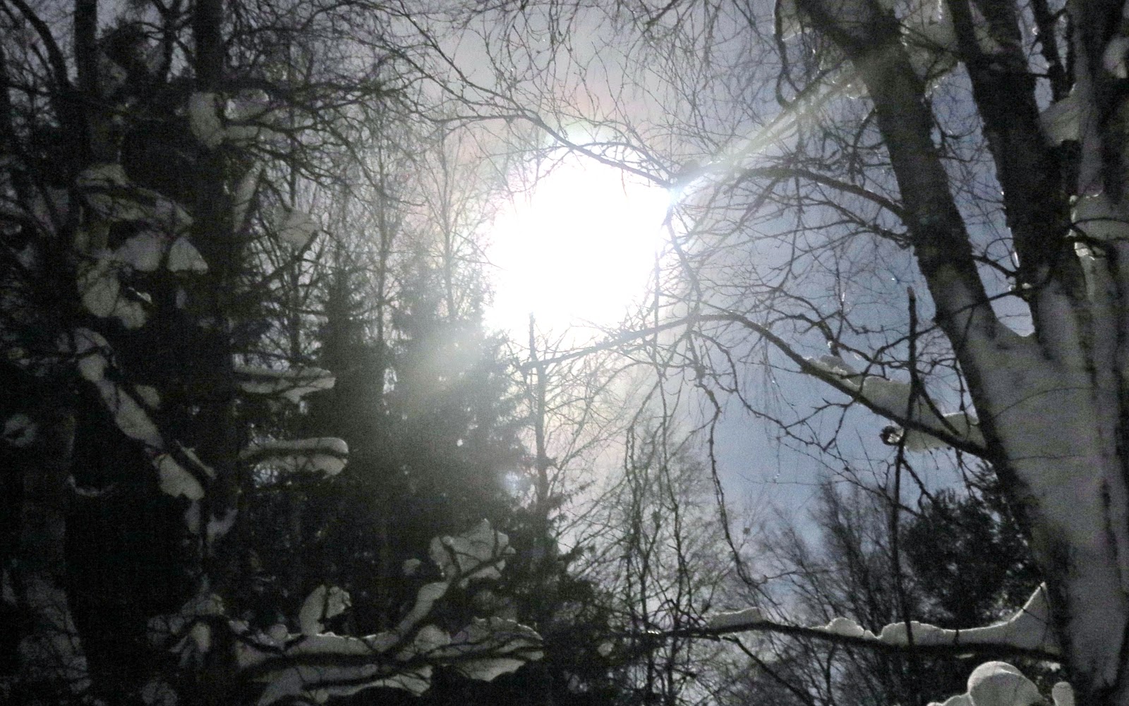 il nostro nord del mondo Il sole e la luna