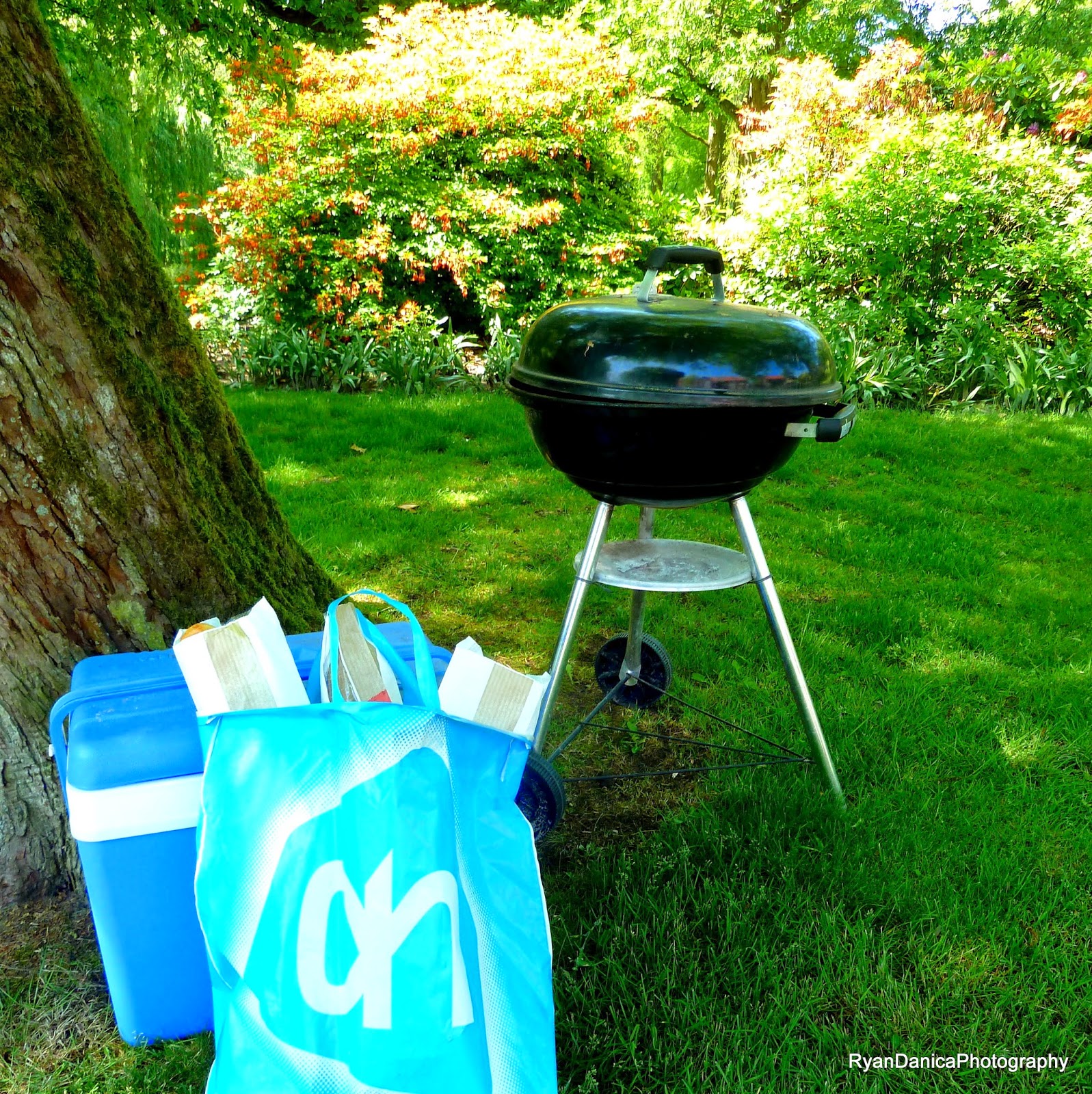 Danica's Thoughts ) May 2014