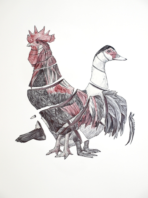 08-Rooster-and-Duck-Jaume-Montserrat-Illustrations-of-Ribbon-Animals-in-Emptyland-www-designstack-co