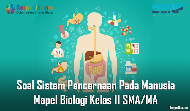 Materi Kelainan dan Gangguan Pada Sistem Pencernaan Mapel Biologi kelas 11 SMA/MA