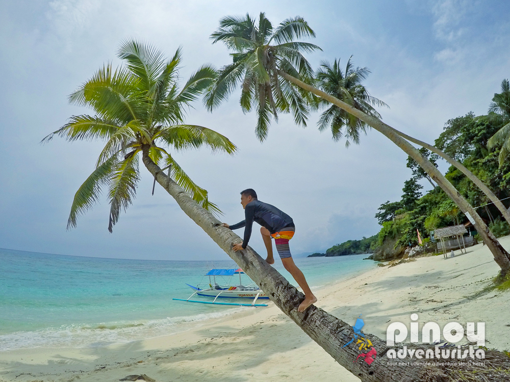TRAVEL GUIDE How to Get to Carabao Island in Romblon from Boracay