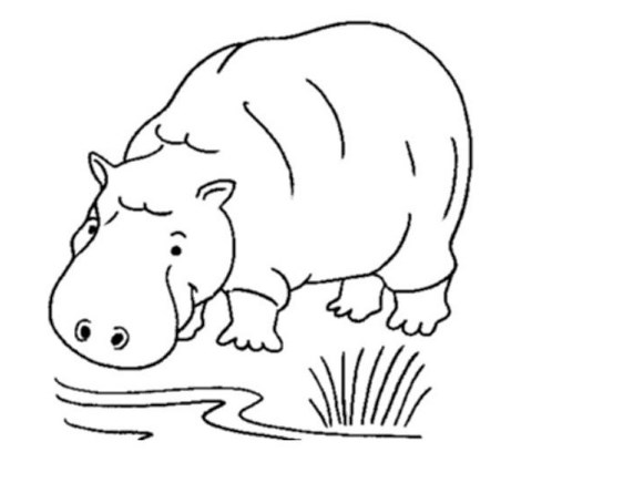 Sketsa Gambar Hewan Berkaki Empat Terbaru dan Terlengkap