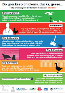 Avian Flu Diary: UK: DEFRA Warns Of `Constant Risk' From Avian Flu