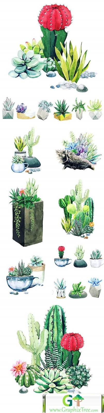 Cacti and succulents composition from potted watercolor plants