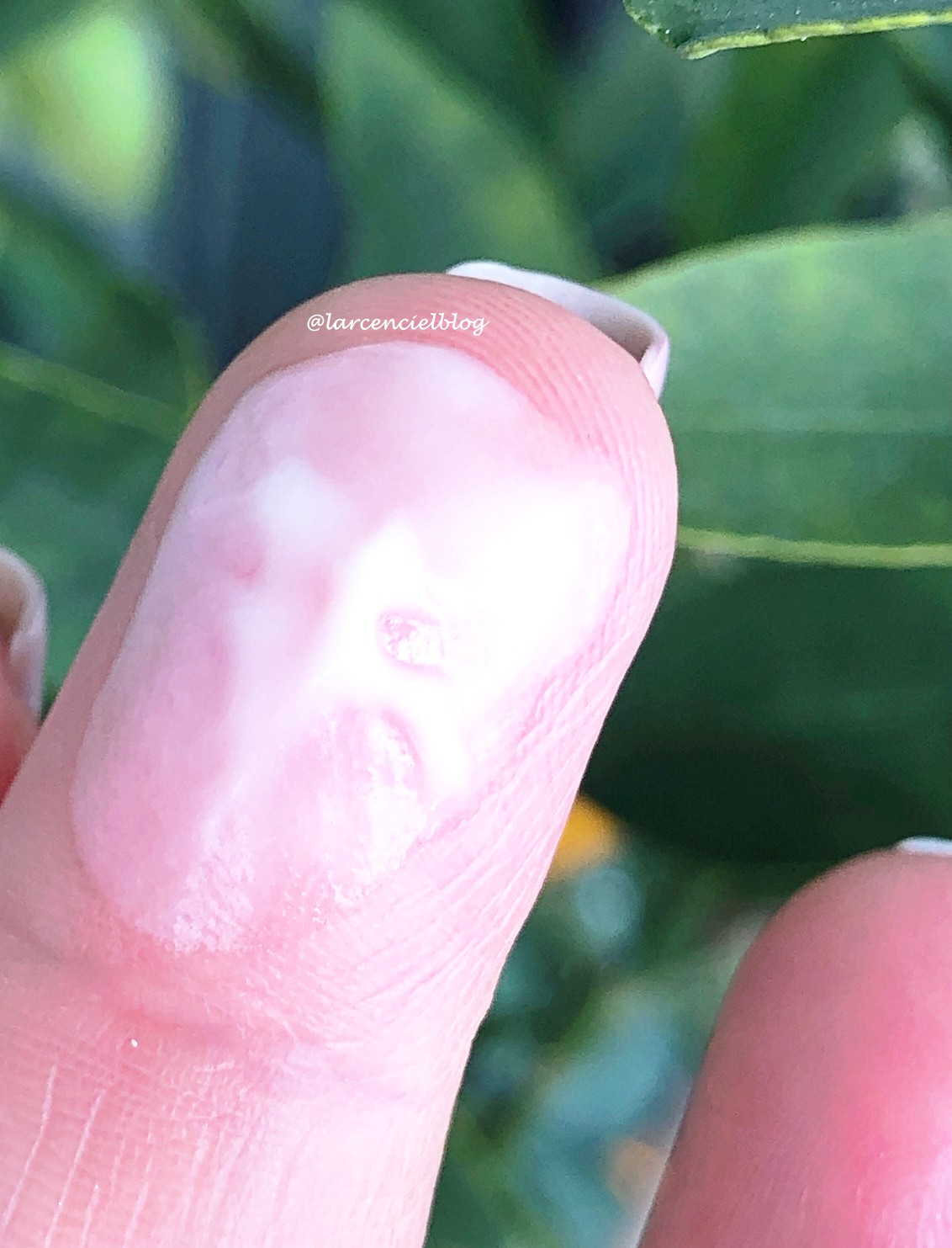 Bee Beauty Organik Sertifikali Goz Kremi L Arc En Ciel