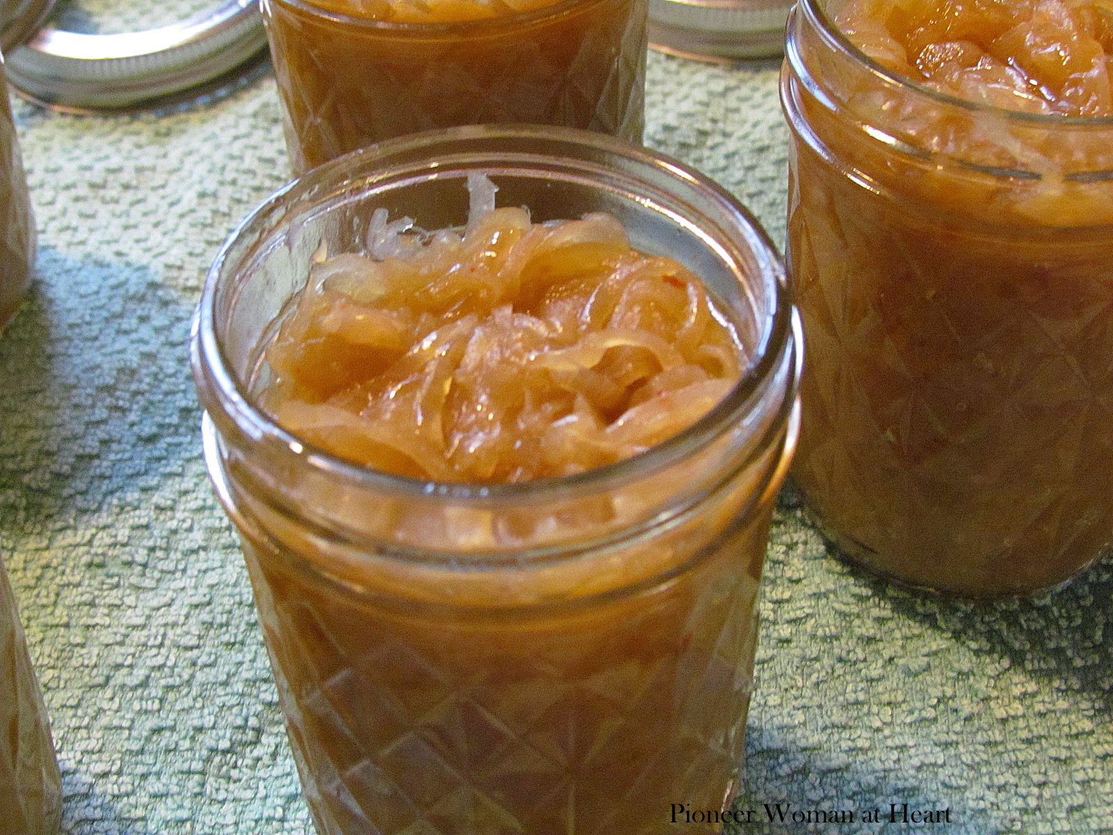 Pioneer Woman at Heart More Chutney SweetHot Caramelized Onions