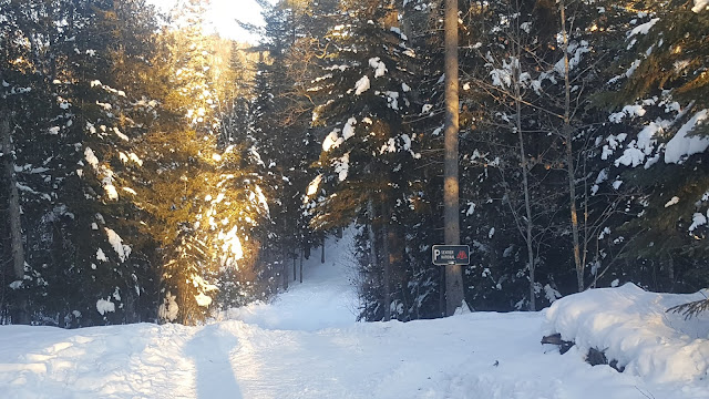 Début du sentier Swaggin pour la Montagne du Tranchant