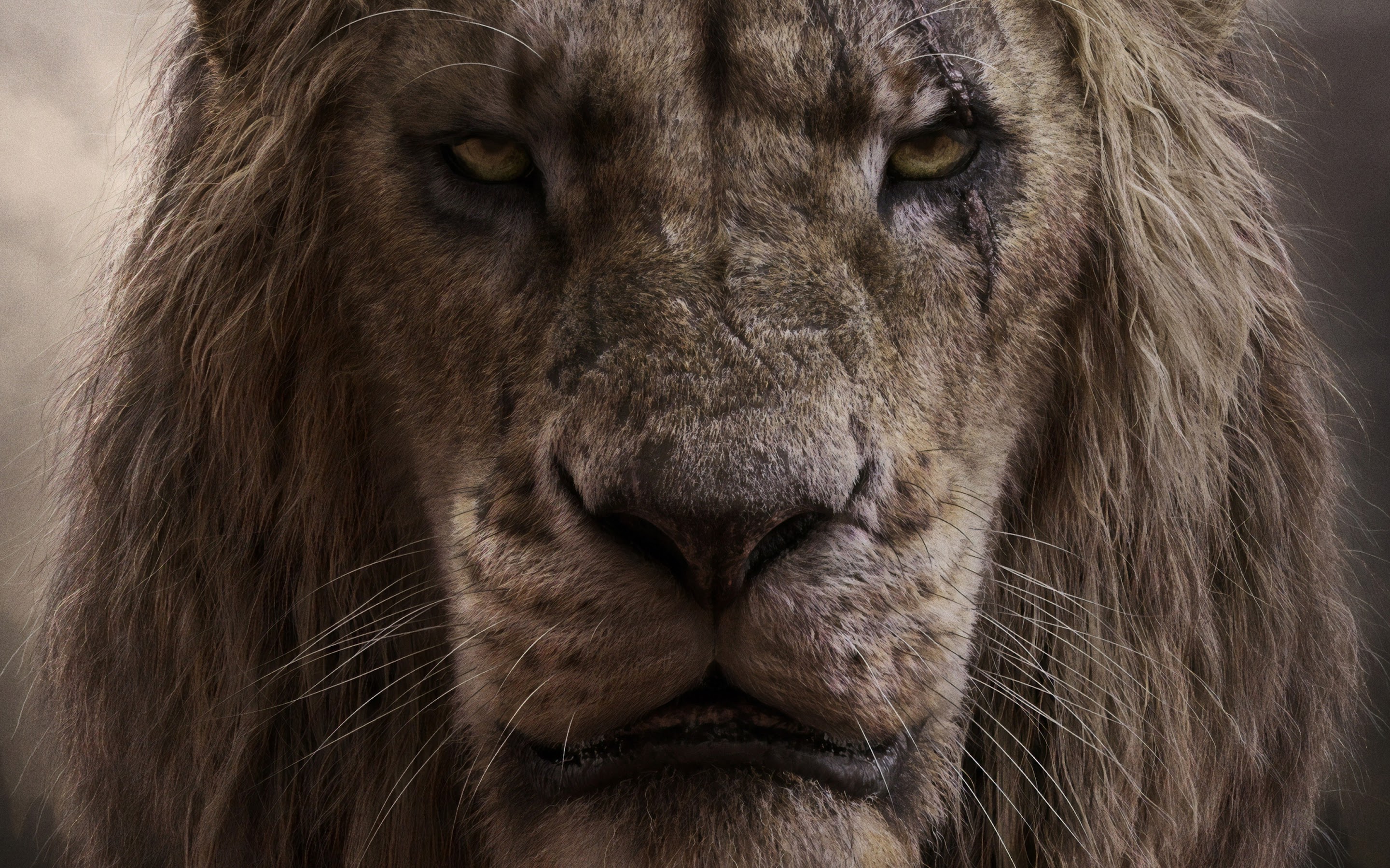 The Lion King, 2019, Scar, 4K, 2 Wallpaper PC Desktop