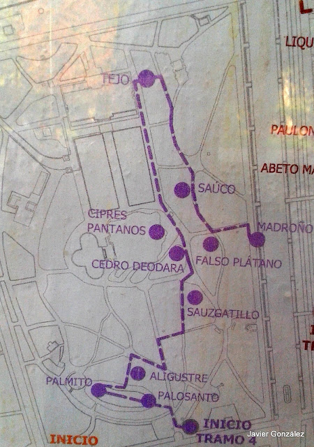 Parque del Retiro de Madrid. Itinerario 4. El Campo Grande.