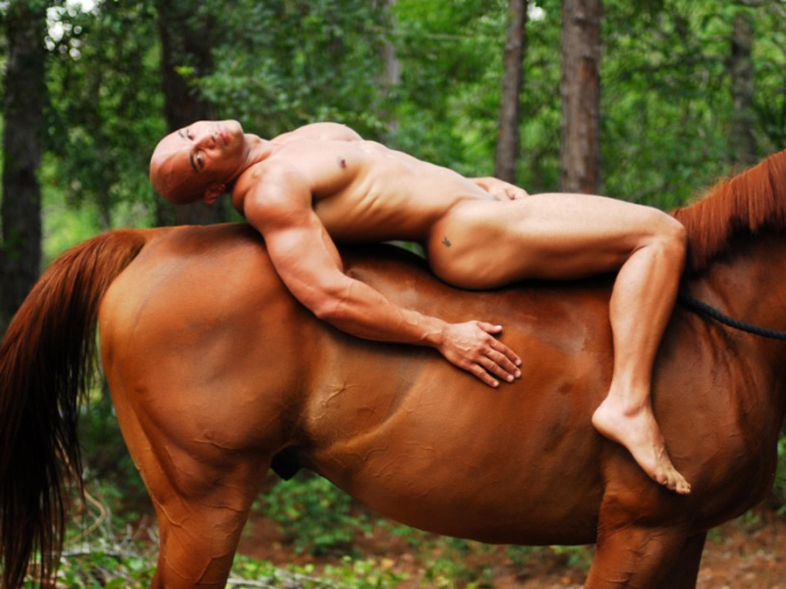 Naked men and horses