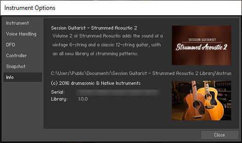Session Guitarist – Strummed Acoustic 2
