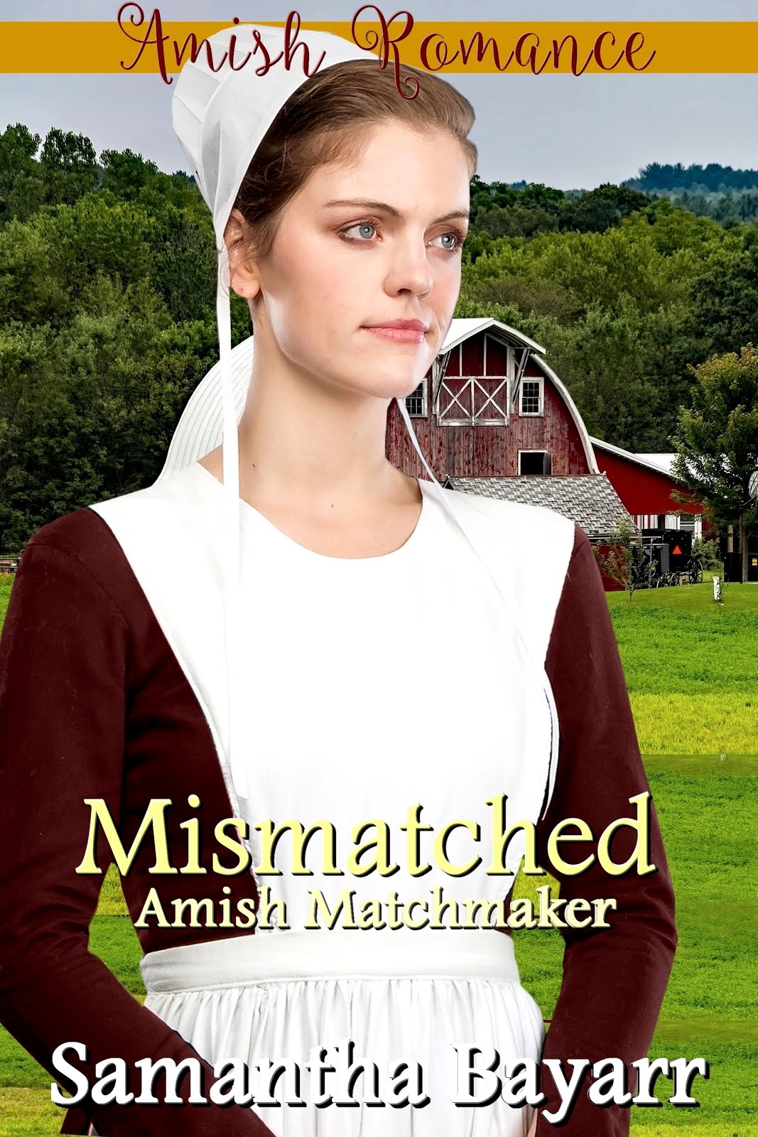 Mismatched: The Amish Matchmaker