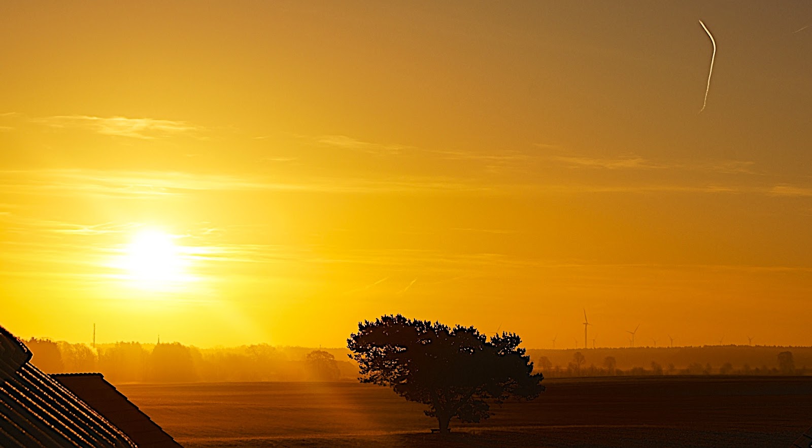 Bernau LIVE - Dein Stadtmagazin für Bernau bei Berlin