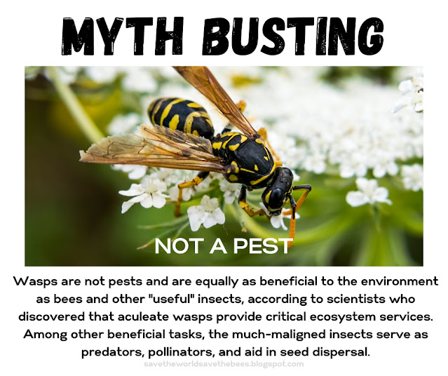 MYTH BUSTING BEES MEMES